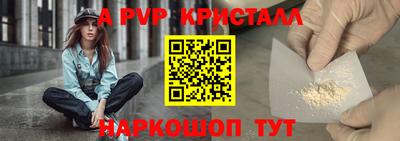 круглые Кингисепп