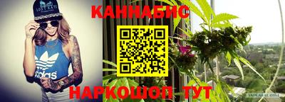 индика Кимры