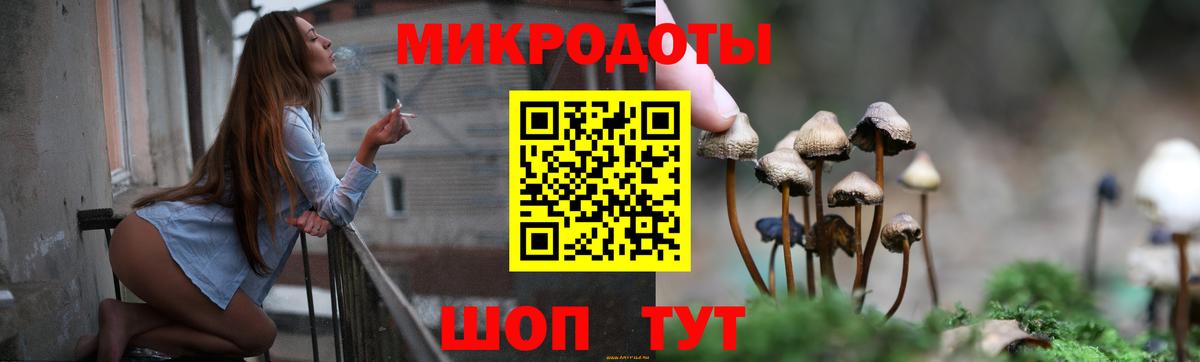 Псилоцибиновые грибы GOLDEN TEACHER Тельмана